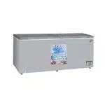 Congélateur Horizontal ROCH  600 Litres (RCF-600-G)