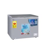 Congélateur Horizontal ROCH (RCF-250-G)