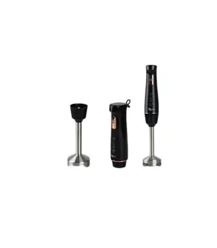 Mixeur Plongeant Électrique ROCH (RHB-313-D)