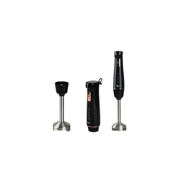 Mixeur Plongeant Électrique ROCH (RHB-313-D)