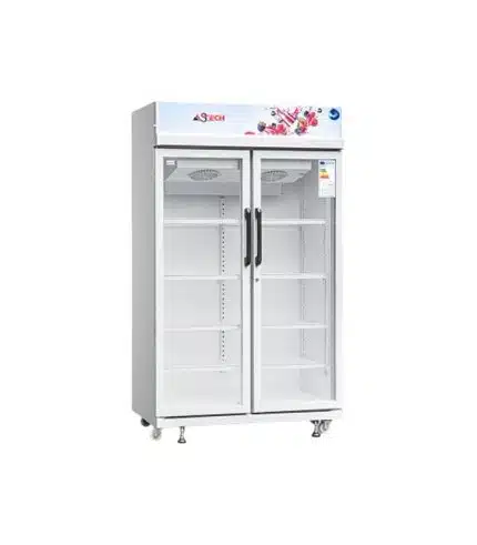 Réfrigérateur vitrine ASTECH 2 portes 880 litres FV930DD-GR