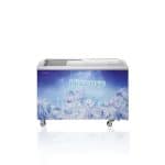 Congélateur horizontal vitrine HISENSE 303 litres FL-39DD4HA