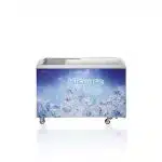 Congélateur horizontal vitrine HISENSE 303 litres FL-39DD4HA
